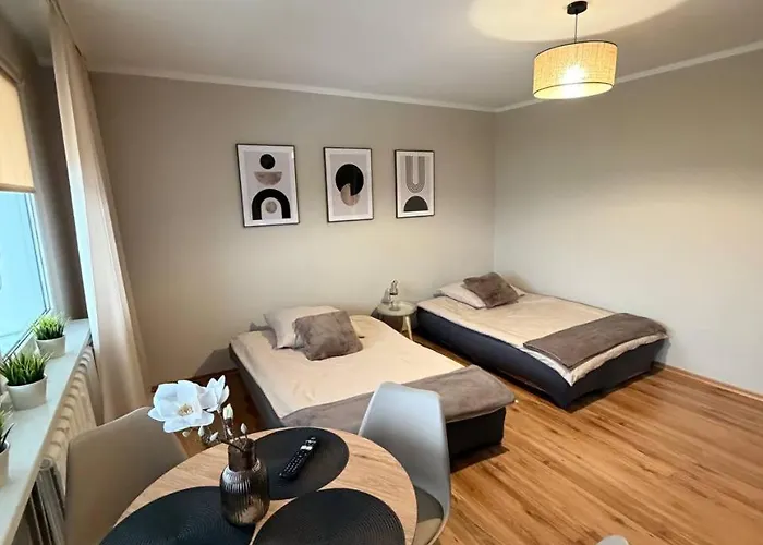 Διαμέρισμα Mieszkanie Kapitana Palaca *