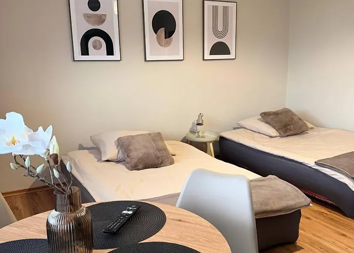 Apartament Mieszkanie Kapitana Pałaca *